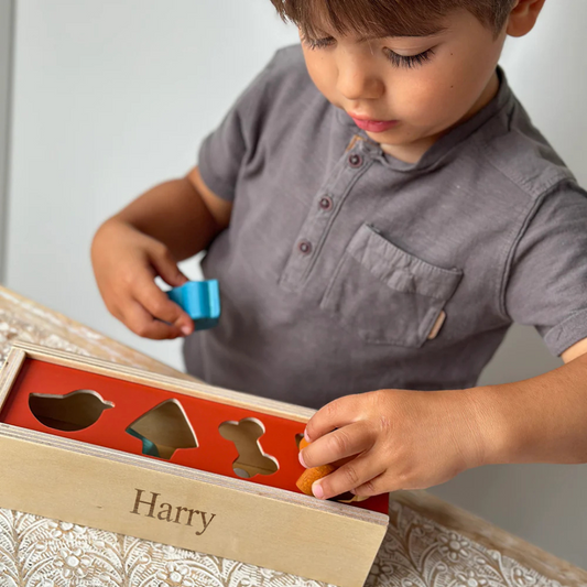 Personalised Engraved Wooden Pet Shape Sorting Box