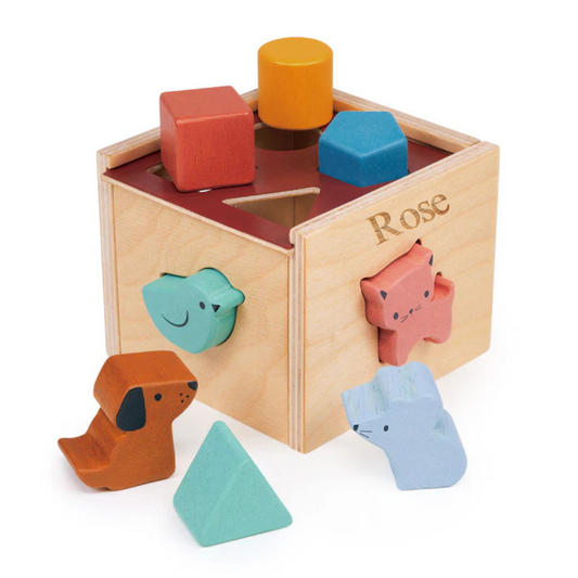 Personalised Engraved Wooden Shape Sorting Cube